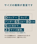 ブラジャー 「マタニティ用」「産前産後兼用」 ...の詳細画像5