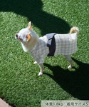 犬 服 「DOG」チェック柄浴衣の詳細画像1