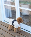 犬 服 「DOG」チェック柄浴衣の詳細画像3