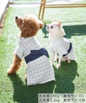 犬 服 「DOG」チェック柄浴衣の詳細画像4