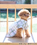 犬 服 「DOG」チェック柄浴衣の詳細画像5