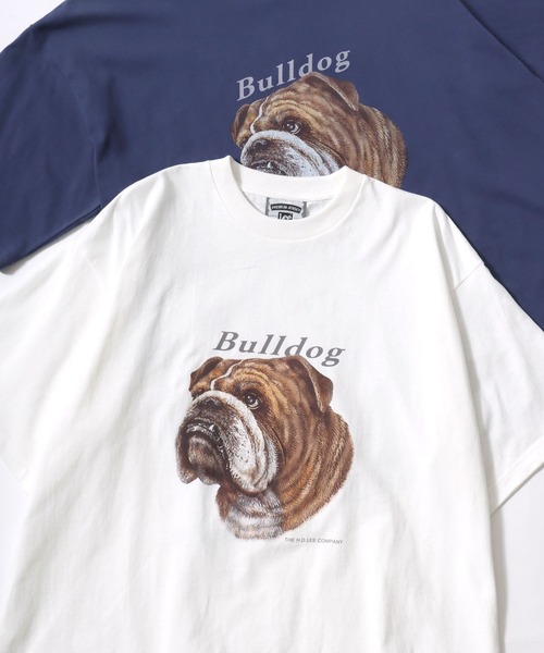 tシャツ Lee/リー BULLDOG SS TEE/オーバーサイズ ブルドッグ アニマル プリント ロゴ ワンポイント 半袖Tシャツ/レディース メ