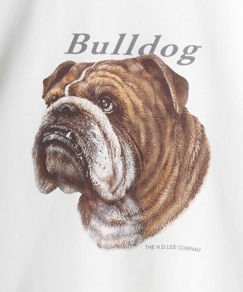 tシャツ Lee/リー BULLDOG SS TEE/オーバーサイズ ブルドッグ アニマル プリント ロゴ ワンポイント 半袖Tシャツ/レディース メ Lee tシャツ Lee/リー BULLDOG SS TEE/オーバーサイズ