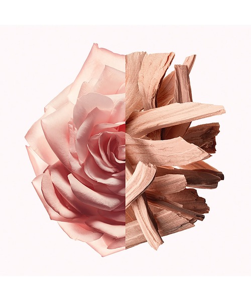 GIVENCHY BEAUTY 香水 イレジスティブル オーデパルファム ヌード