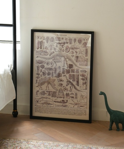 DULTON（ダルトン） ポスター ART FRAME PALEONTOLOGIE/壁掛け アート