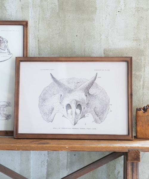 DULTON（ダルトン） ポスター ART FRAME TRICERATOPS/壁掛け アート