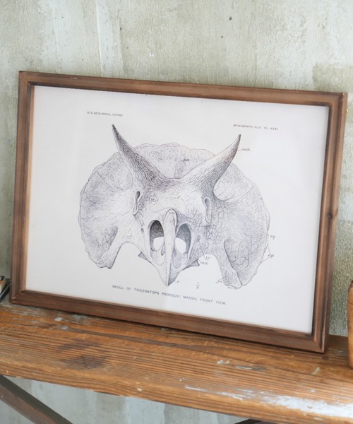 DULTON（ダルトン） ポスター ART FRAME TRICERATOPS/壁掛け アート