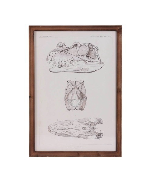 DULTON（ダルトン） ポスター ART FRAME TRICERATOPS/壁掛け アート