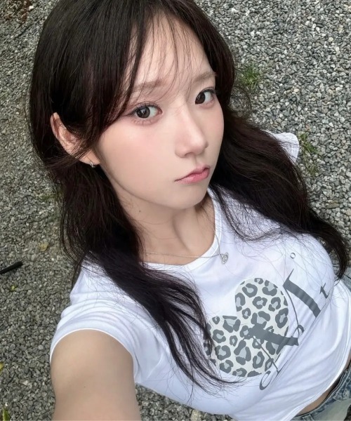 MUCENT（ムセント） tシャツ 半袖 「日本未発売/WEB限定」/レオパード