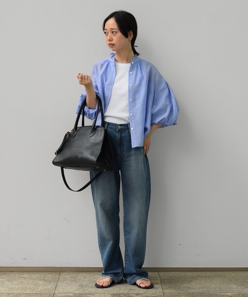 DRESSTERIOR（ドレステリア） ブラウス シャツ 「洗える」スタンド 