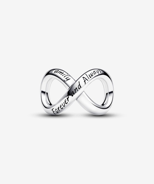 【美品】 PANDORA チャーム 10個 il_1080xN.5714182225_pf9j.jpg