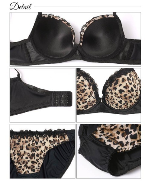 ブラジャー ショーツセット 脇高マット レーシィ アニマル 脇高