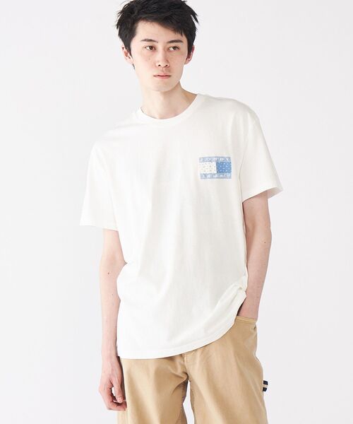 [ ] ペイズリー フラッグ Tシャツ (gray) 2点でさらに10％OFF】レギュラーペイズリーフラッグTシャツ