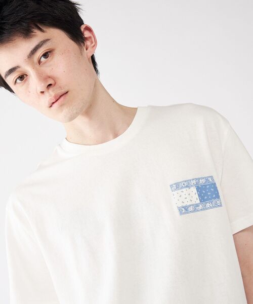 [ ] ペイズリー フラッグ Tシャツ (gray) TOMMY JEANS tシャツ リラックスペイズリーフラッグTシャツ