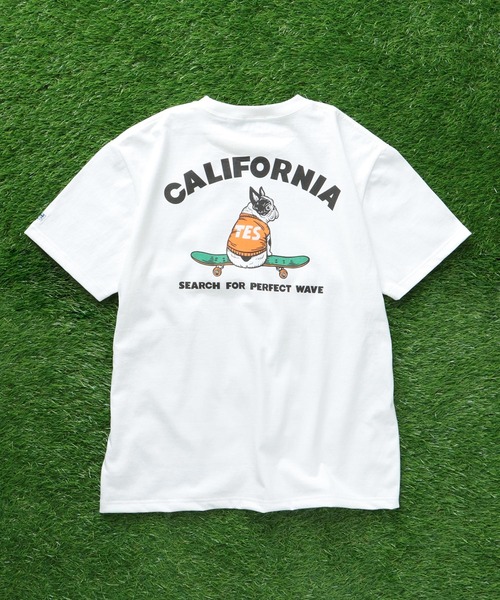 「The Endless Summer」 半袖Tシャツ SMALL ホワイト メンズ_画像5