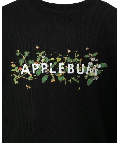 「APPLEBUM」 半袖Tシャツ LARGE ホワイト メンズ_画像4