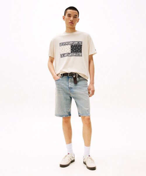[ ] ペイズリー フラッグ Tシャツ (blue) TOMMY JEANS tシャツ リラックスペイズリーフラッグTシャツ