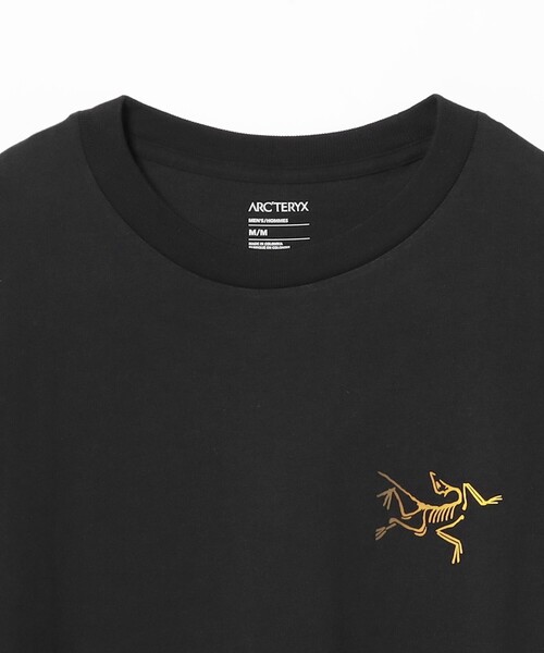 ARC'TERYX tシャツ ARC'TERYX / Kragg Cotton Logo SS メンズ