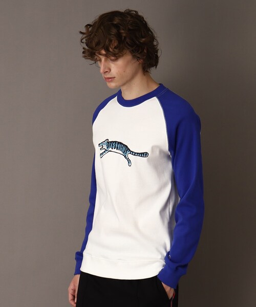 DRESSTERIOR（ドレステリア） tシャツ タイガープリント フライス