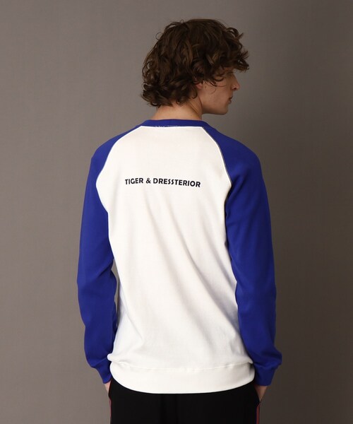DRESSTERIOR（ドレステリア） tシャツ タイガープリント フライス 