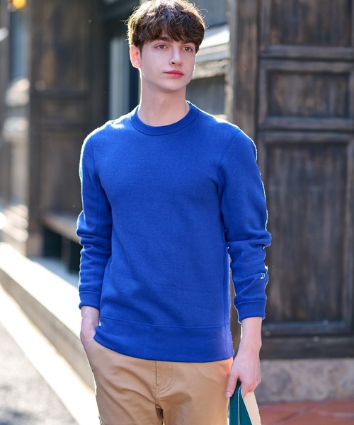 DRESSTERIOR ドレステリア トレーナー 美品 DRESSTERIOR（ドレステリア） トレーナー スウェット 「再入荷