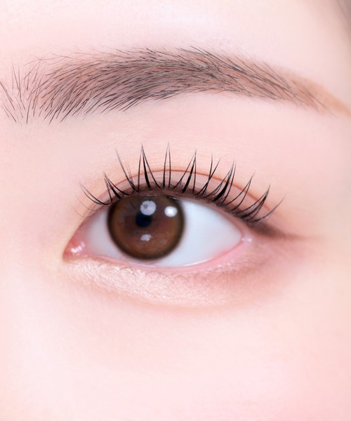 FilliMilli フィリミリ つけまつげ 02 Clear Dailyセット : ZOZOTOWN