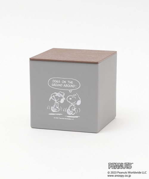 LEPSIM（レプシィム） 収納 「PEANUTS」コンパクトティッシュケース