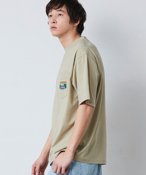 tシャツ 「JAPAN EDITION」ビーンズ・カタディン・ポケット・ティ レディース L.L.Bean tシャツ 「JAPAN EDITION」ビーンズ・カタディン