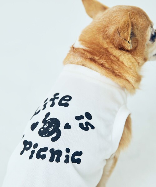 Chocomoo 犬 服 「Chocomoo×ROPE' PICNIC」「DOG」「接触冷感」ロゴT