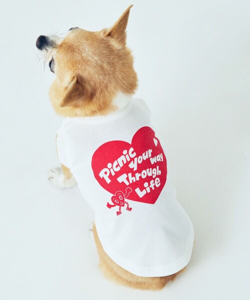 Chocomoo 犬 服 「Chocomoo×ROPE' PICNIC」「DOG」「接触冷感」ロゴT