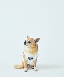 犬 服 「Chocomoo×ROPE PICN...の詳細画像2