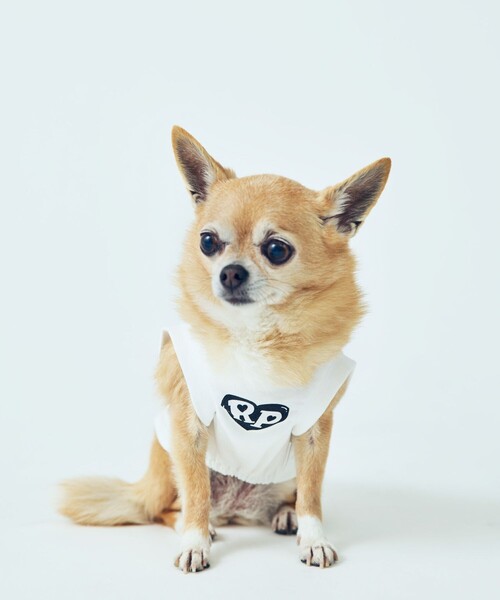 半額以下】itdogs. アイスクリーム刺繍の犬服 半額以下】itdogs