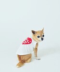 犬 服 「Chocomoo×ROPE PICN...の詳細画像4