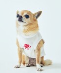 犬 服 「Chocomoo×ROPE PICN...の詳細画像5
