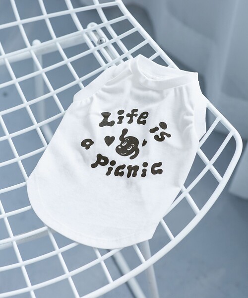 Chocomoo 犬 服 「Chocomoo×ROPE' PICNIC」「DOG」「接触冷感」ロゴT