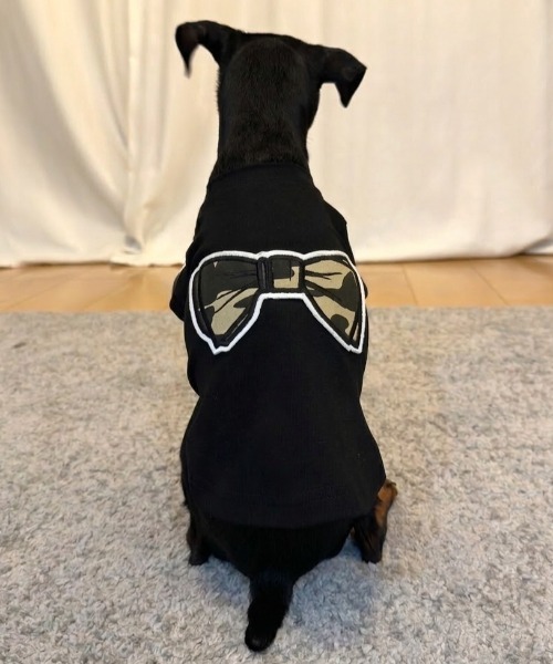 オーダー犬服♡犬服♡ハンドメイド犬服♡ドレス犬服♡黒♡ブルー SUPERTHANKS（スーパーサンクス） 犬 服 蝶ネクタイワッペン/ワン