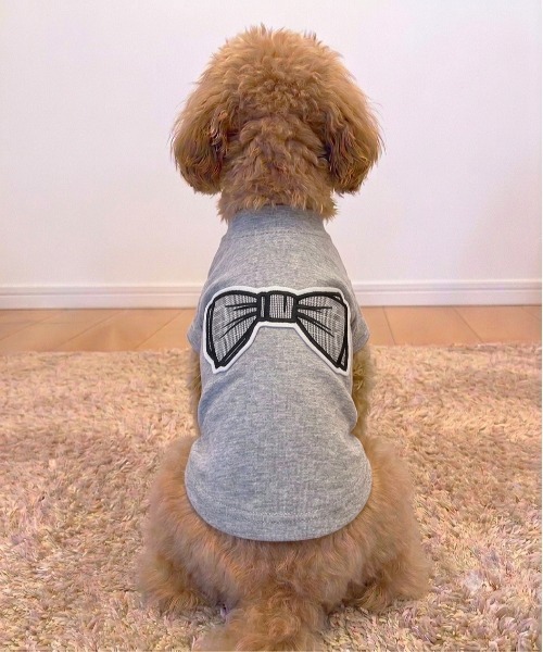 RALPH LAUREN HOME（ラルフ ローレン ホーム） 犬 服 Polo ベア ウール