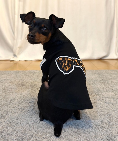 SUPERTHANKS（スーパーサンクス） 犬 服 蝶ネクタイワッペン/ワン