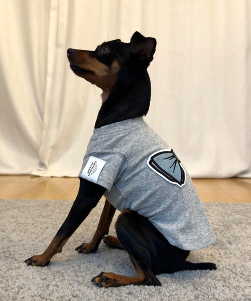 SUPERTHANKS（スーパーサンクス） 犬 服 蝶ネクタイワッペン/ワン