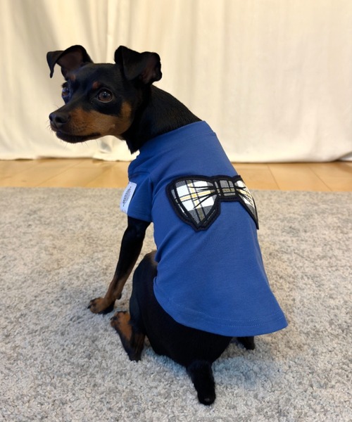 SUPERTHANKS 犬 服 蝶ネクタイワッペン/ワンポイント/ドッグシャツ/犬