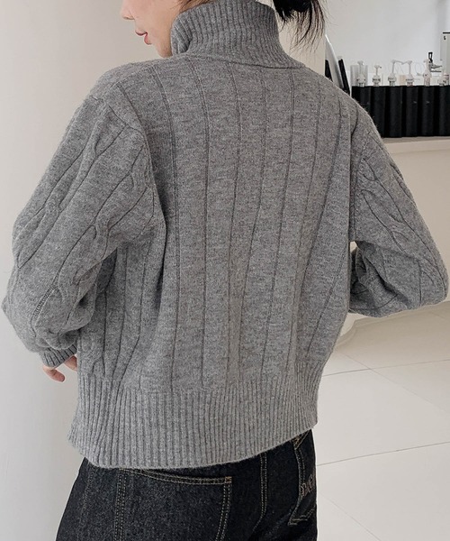 新品　ダントン　ニット　ジップアップセーター　ベージュ DANTON - 新品 ダントン ニット ジップアップセーター ベージュ の通販