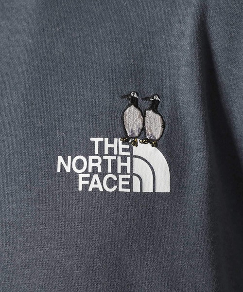 THE NORTH FACE（ザ ノースフェイス） tシャツ 「THE NORTH FACE(ザ