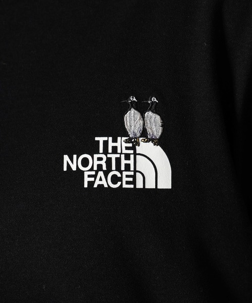 THE NORTH FACE（ザ ノースフェイス） tシャツ 「THE NORTH FACE(ザ
