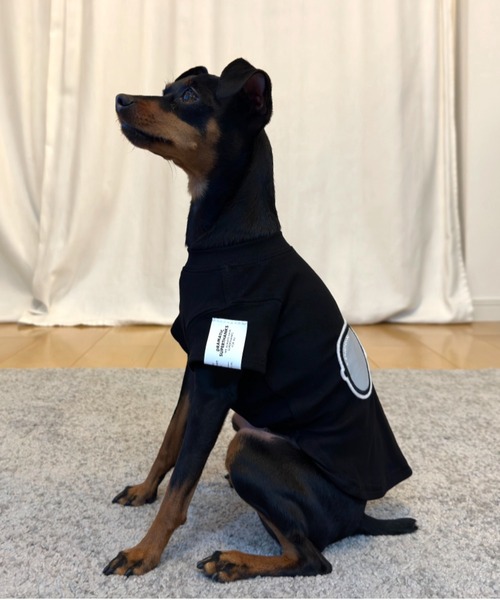 SUPERTHANKS（スーパーサンクス） 犬 服 サングラスワッペン/ワン