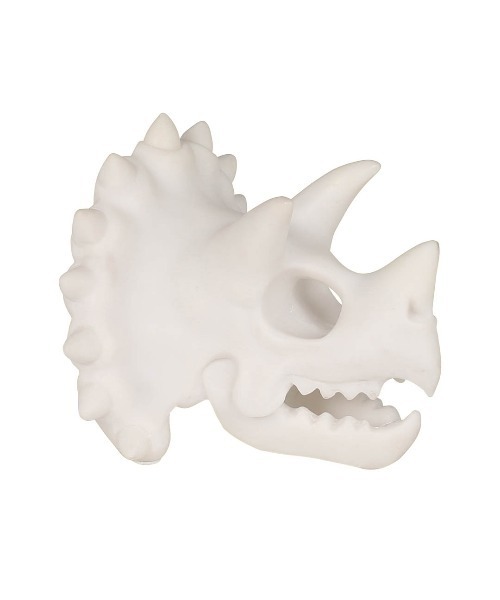 DULTON（ダルトン） インテリア SKELETON HEAD/恐竜 メガネホルダー
