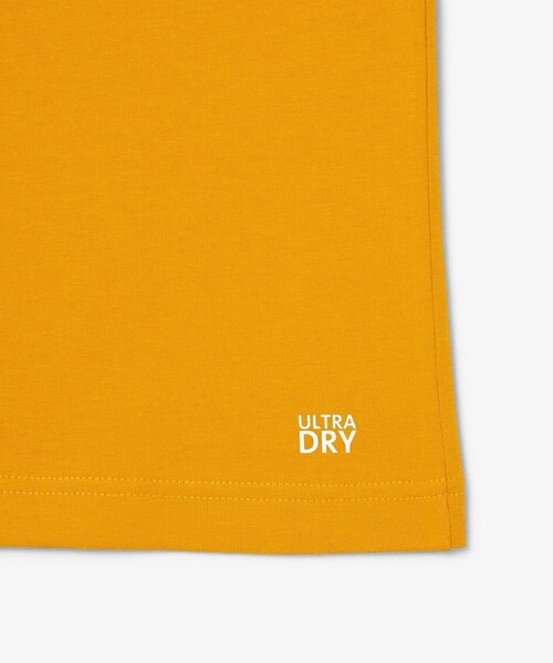 LACOSTE（ラコステ） tシャツ ラコステゴルフバックプリントウルトラ
