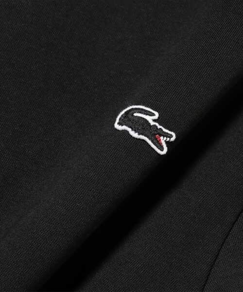 LACOSTE（ラコステ） tシャツ LACOSTE / クルーネック ロングスリーブ
