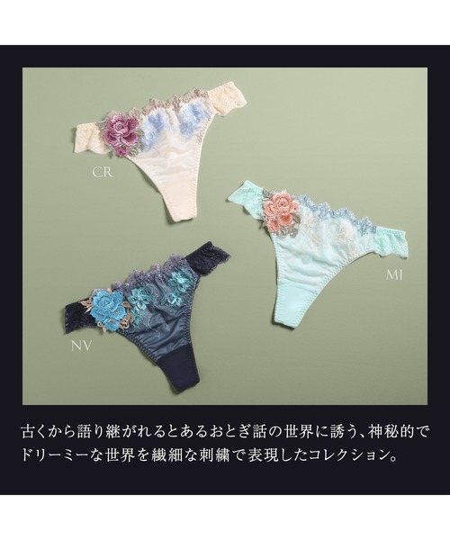 HIMICO ショーツ ヒミコ 029シリーズTバックショーツ ソング タンガ M