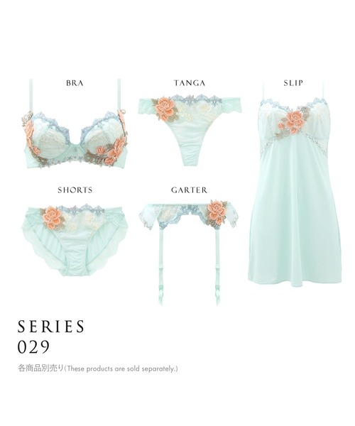 HIMICO ショーツ ヒミコ 029シリーズTバックショーツ ソング タンガ M