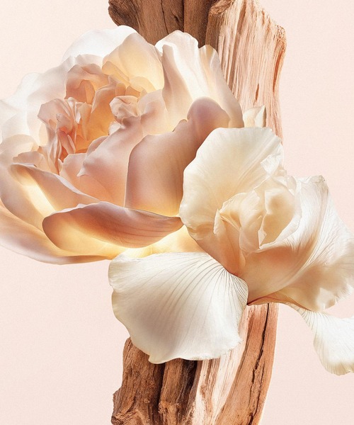 GIVENCHY BEAUTY 香水 イレジスティブル オーデパルファム ヌード
